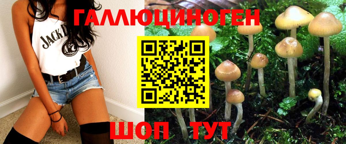 Галлюциногенные грибы Psilocybine cubensis Ангарск