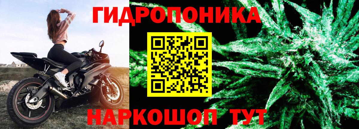 Шишки марихуана ГИДРОПОН Ангарск